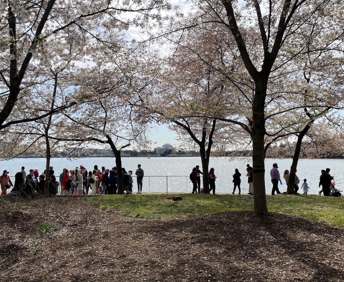 NationalMallNPS tweet picture