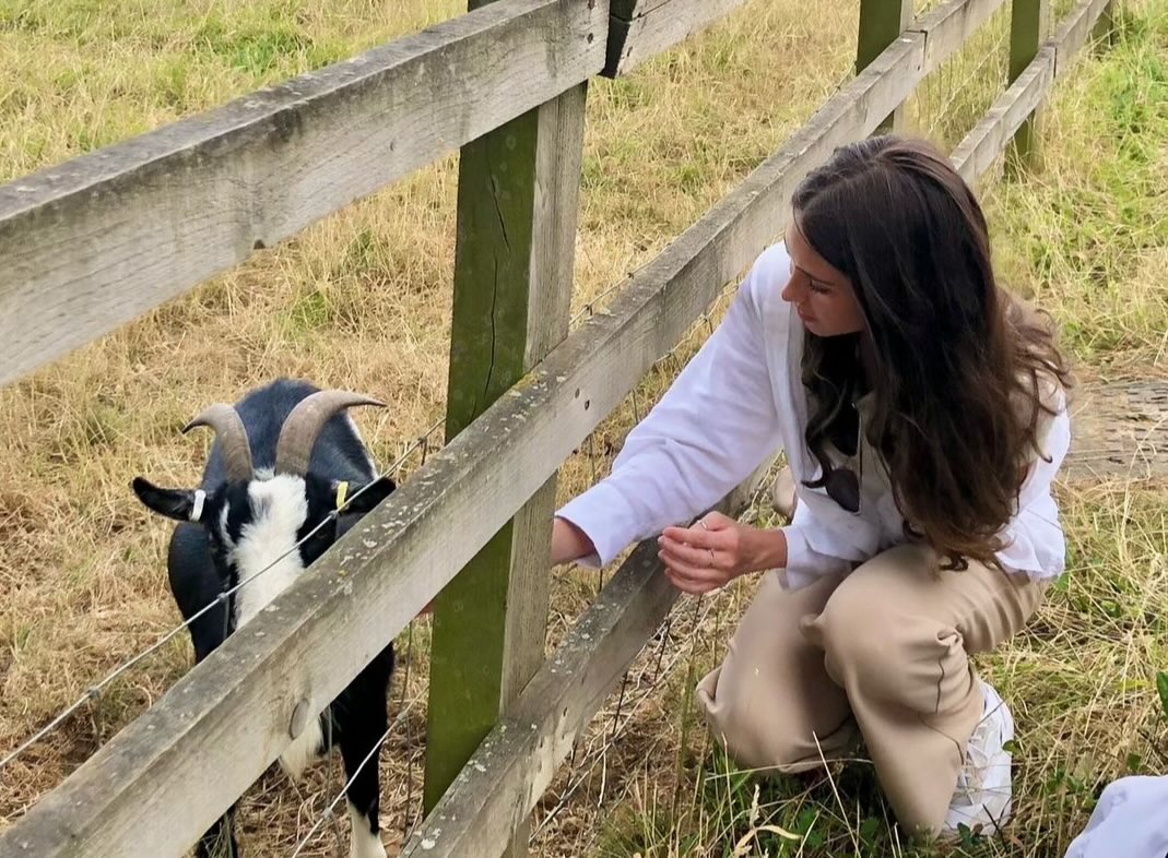 Lily DiLaurentis-Fields (@dl0rentisfields) on Twitter photo 