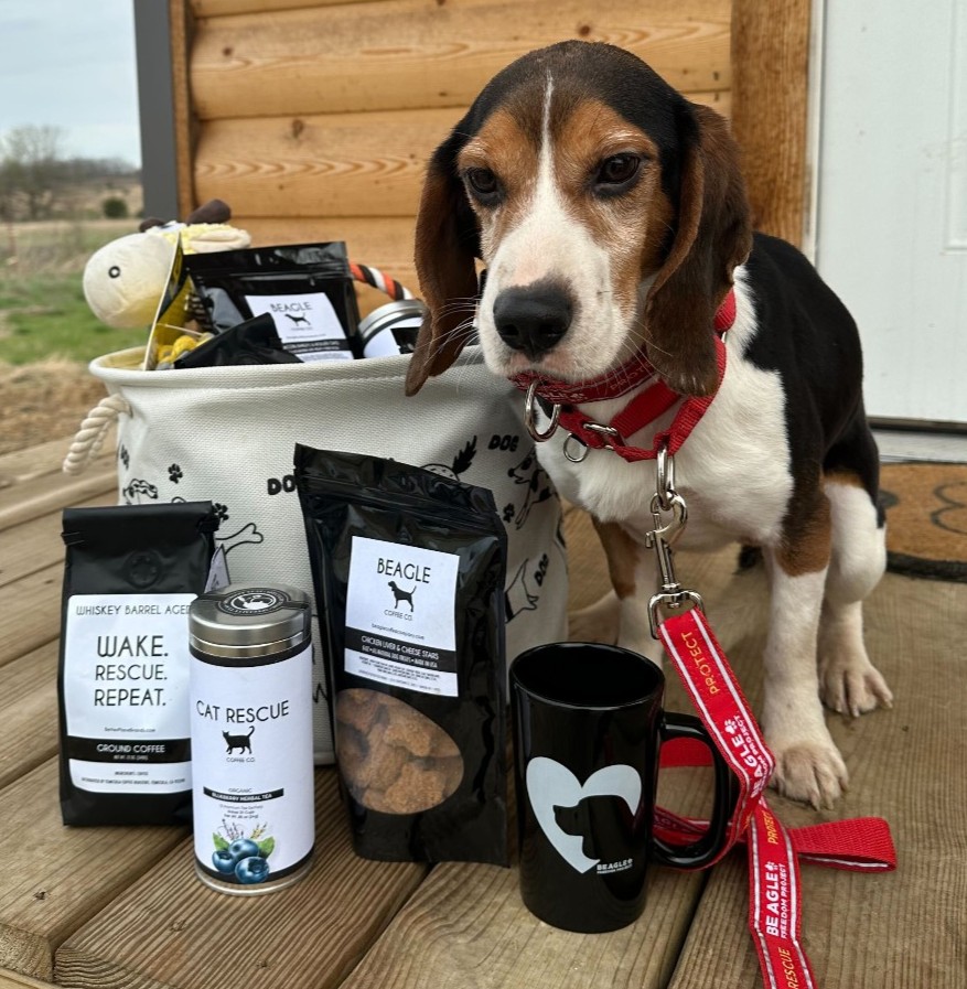 beaglefreedom's tweet photo. THANK YOU, Beagle Coffee Co., for your generous donation to our pups, staff, and volunteers! ☕
Our days were made when we opened your package full of treats for both our animals + our hard-working humans! 
Visit https://t.co/VxT0lBQXqu to check out their amazing products! https://t.co/cv2LZ326Bb