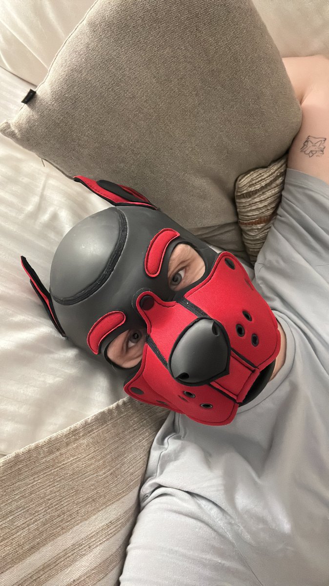 spikepup2's tweet photo. Flight was exhausting but I am ok. Now chilling in hotel room. Next flight tomorrow. https://t.co/o2i0iNLIf4