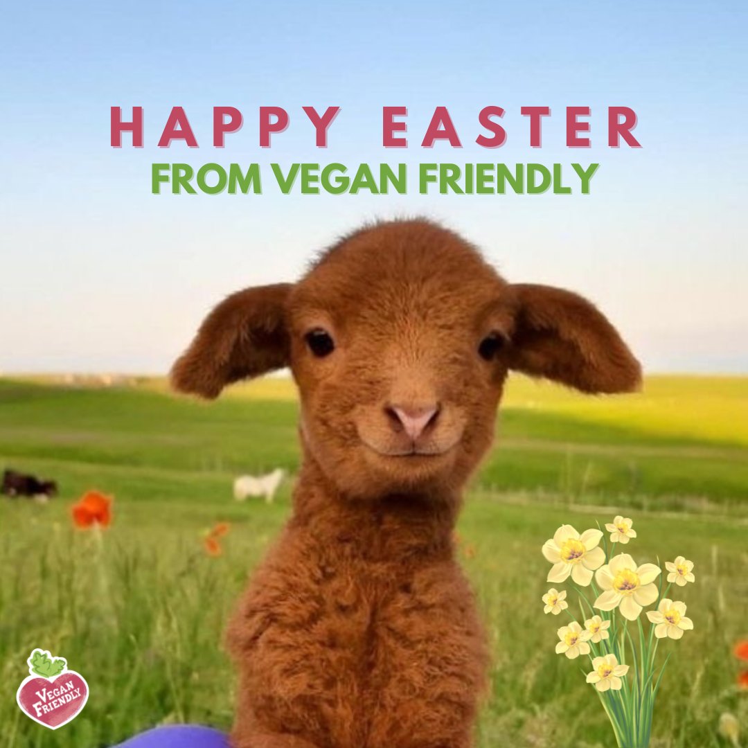 Happy Easter from the Vegan Friendly family 🐰🌷 

We hope you had a wonderful SPRING day 🐣 What did you do this Easter?  Let us know in the comments!!