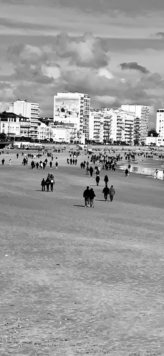 French Dexter tweet media