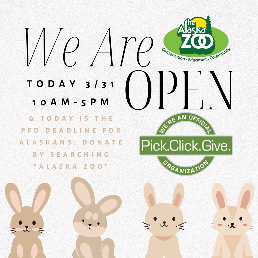 We are open today 3/31 from 10am-5pm, last entry at 4:30. Today is also the last day for Alaskans to file their PFD applications. You can support the zoo through a PFD donation. pfd.alaska.gov and search “Alaska Zoo” to add us or change your donation if you have filed.