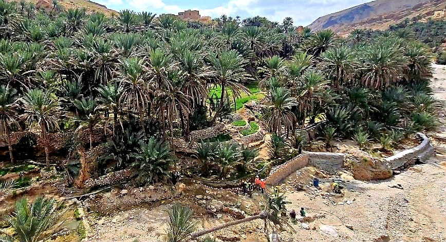 In A-Khaif #Hadhramout, the #Cash4Works has employed dozens of small-scale farmers 2 enhance #FoodSecurity thru resources maintaining agriculture that: ★ minimizes erosion of soil ★ enables it to preserve water ★ accumulates organic items to nourish the' crops #YemenCantWait