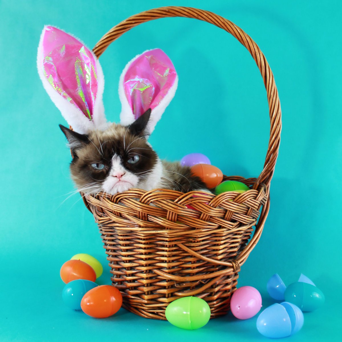 I met the Easter Bunny once… 🐣🐰😾 #HappyEaster