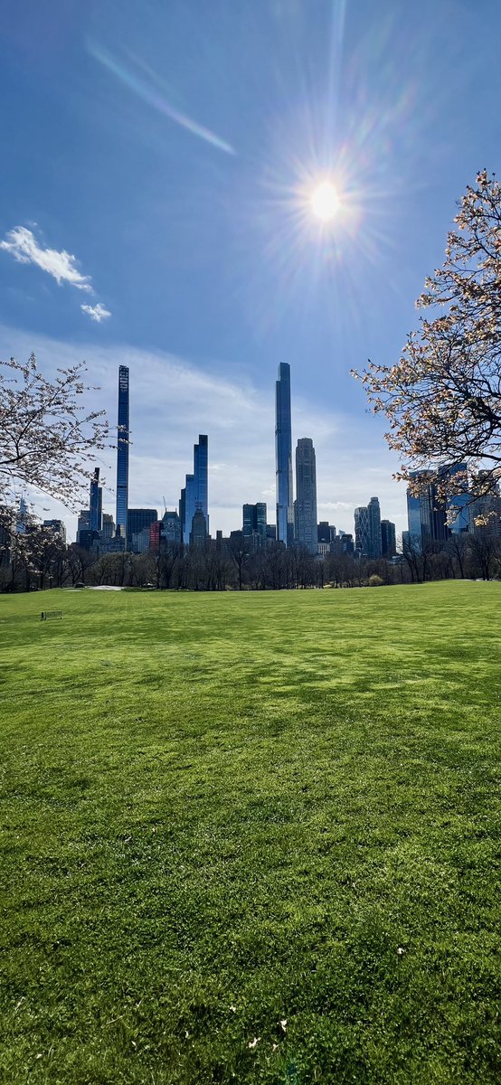 Gm and happy Sunday bunnies 🐰 🪺 Touching some grass at Central Park ☀️ today