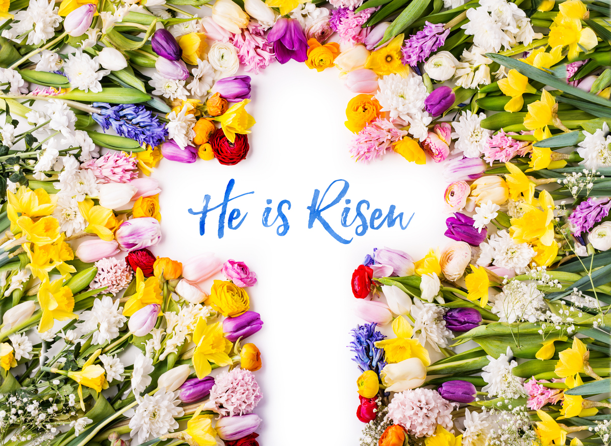 minyardplumber's tweet photo. Wishing you love, peace, and Easter blessings on this beautiful day! https://t.co/tMaL2ozDuZ