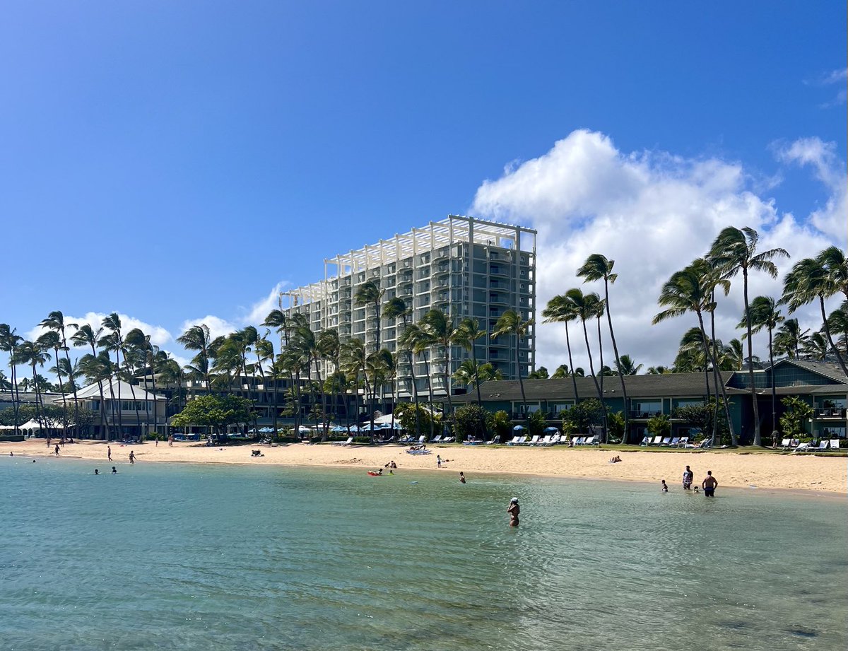 sgsummerson's tweet photo. Aloha and Happy Easter 🤙🌺 🐇 https://t.co/6B2Ks0dDBt