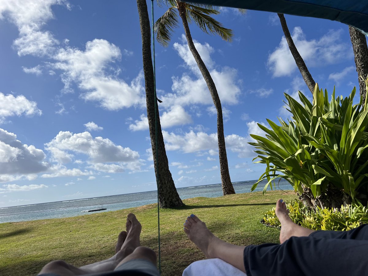 sgsummerson's tweet photo. Aloha and Happy Easter 🤙🌺 🐇 https://t.co/6B2Ks0dDBt