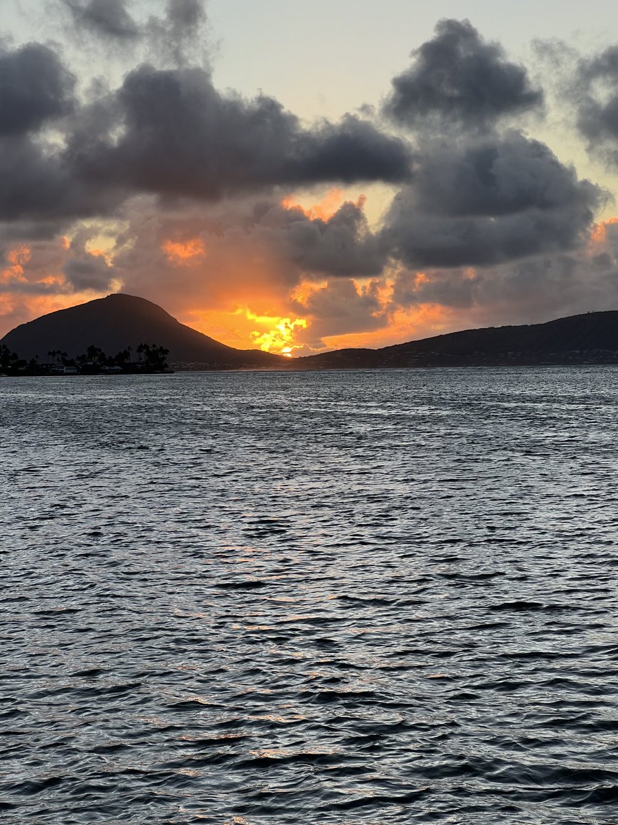 sgsummerson's tweet photo. Aloha and Happy Easter 🤙🌺 🐇 https://t.co/6B2Ks0dDBt