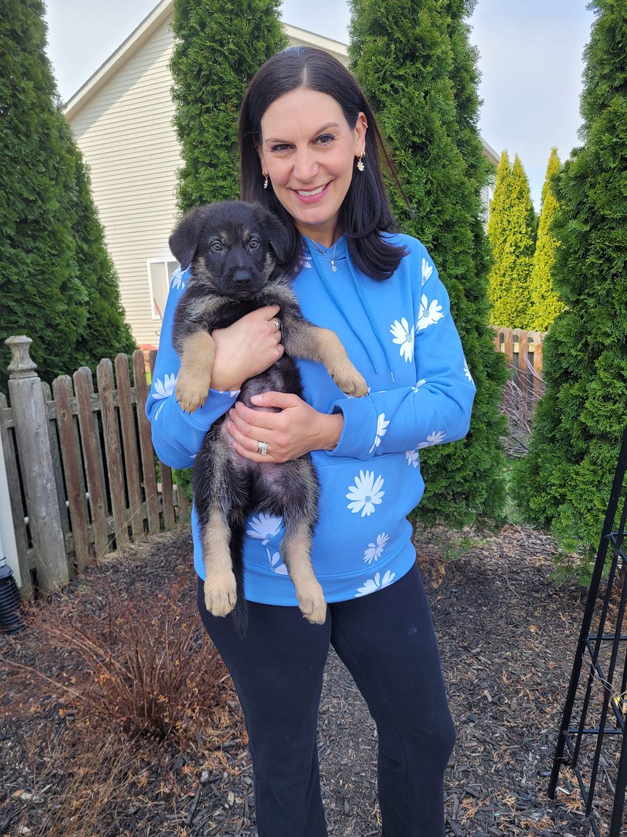 Dog. No. 3!!! Meet Wrex Peanut, the son of Nibbles and Lulu. He was the runt of nine pups, and he's absolutely perfect!!