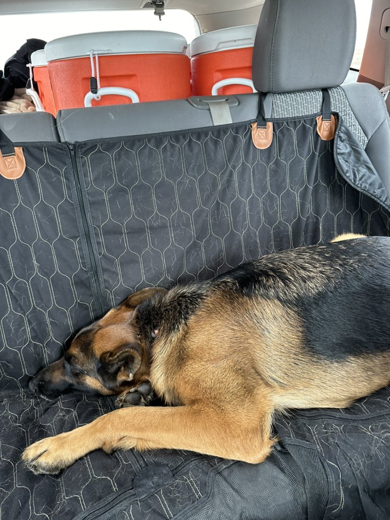 The post tournament crash 😴