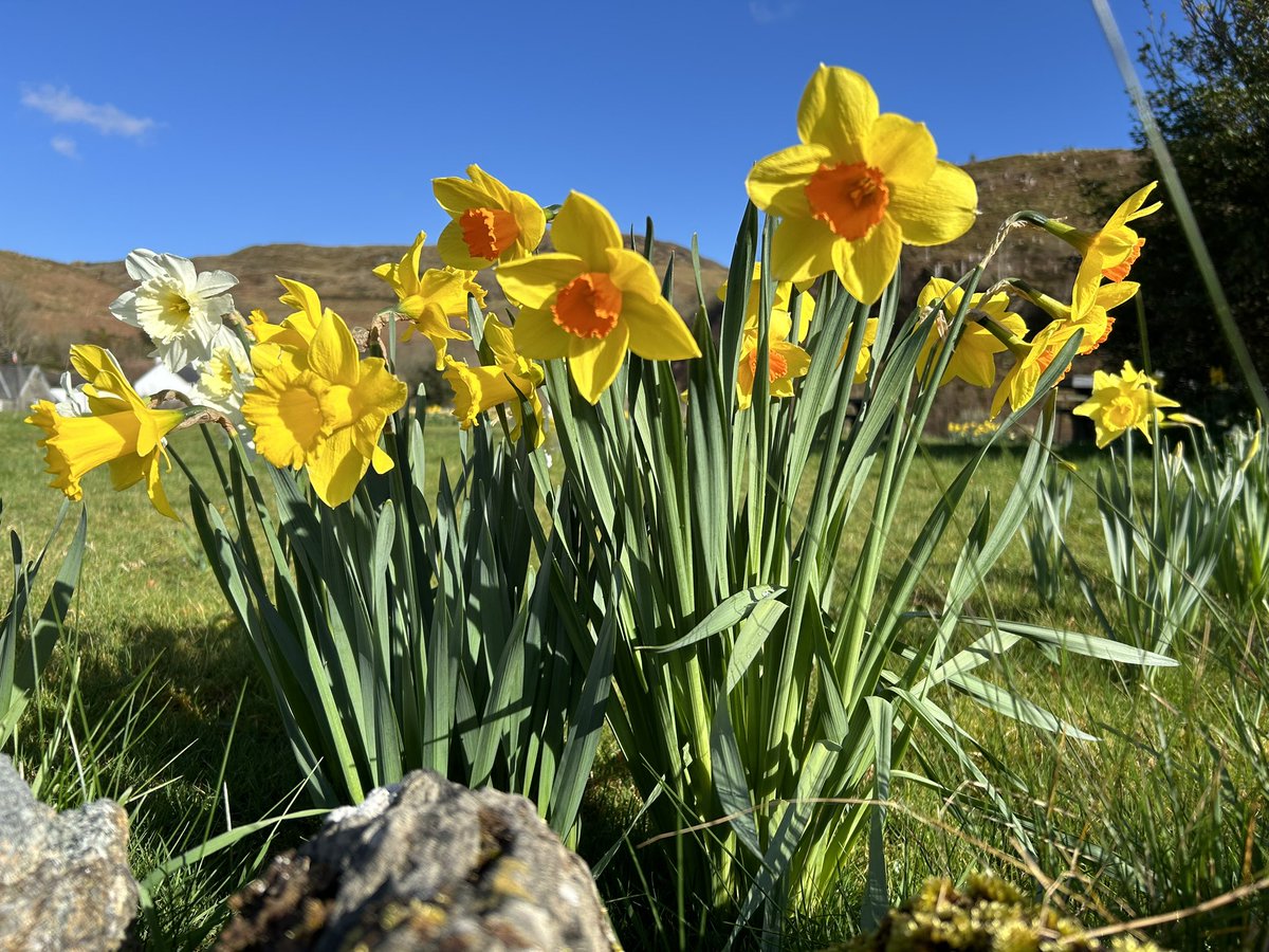 #QueerPrompts
Day 31: monthly wrap up.

Any writing goals or good intentions I had this month fell by the wayside. It’s hard juggling day job, writing, reading &amp; quality of life stuff; something has to give. 

But I took time to enjoy spring.