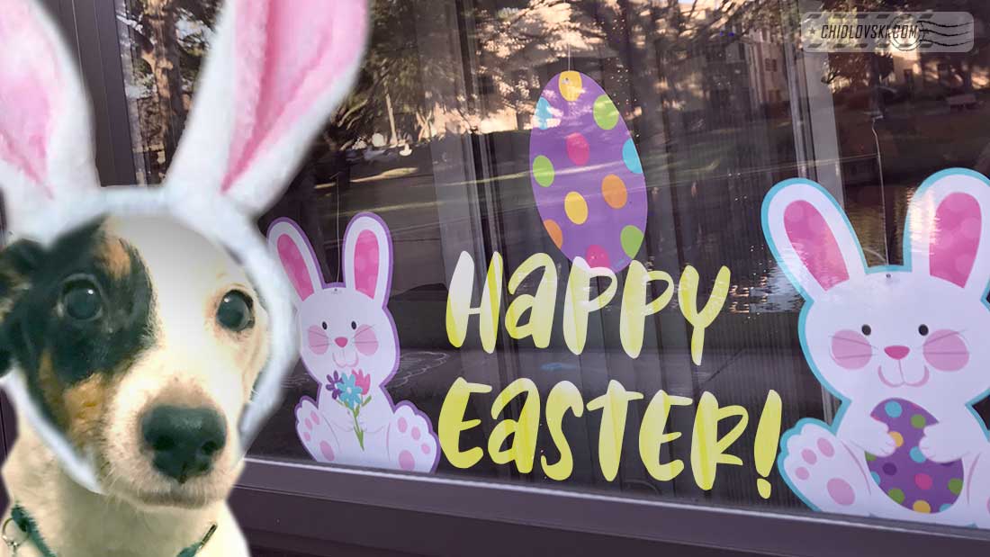 chidlovski's tweet photo. Happy Easter! https://t.co/BV3aOADID0 https://t.co/XF7ajH9mOy