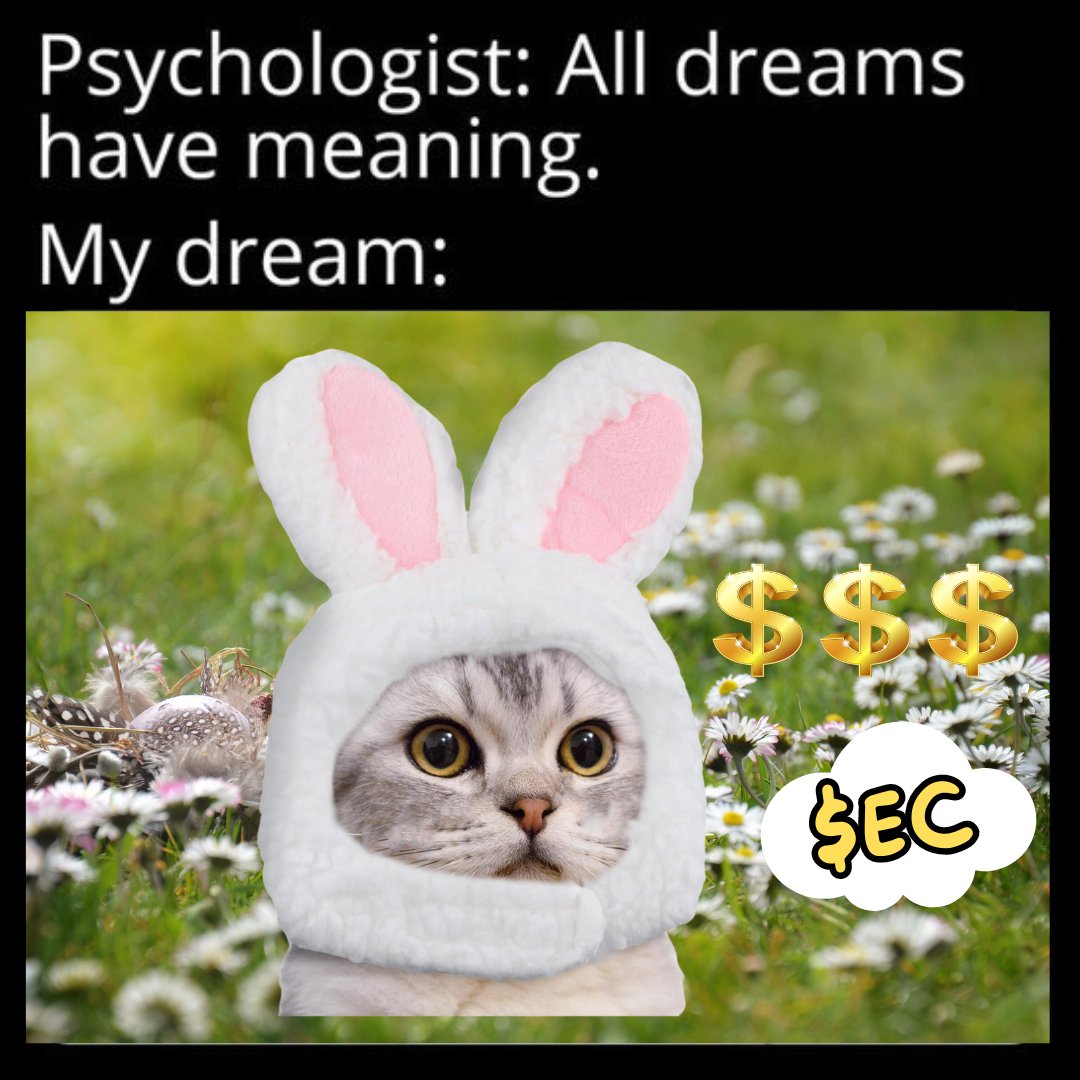 eastercat tweet media