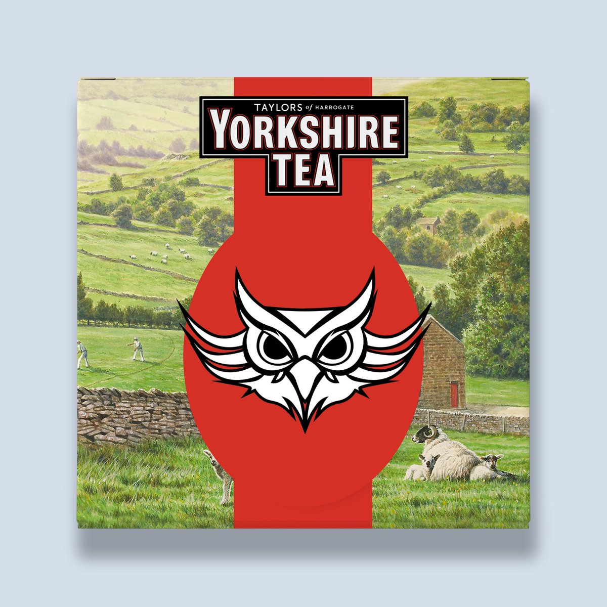 We have BIG news! Since attending @IGFestUK we can finally announce... We have a new partnership! 🫖 @YorkshireTea 🫖 We are so thrilled that we're having our own Owls-inspired Tea!🦉 👉Twilight Owl Tea! Read the full article here! 👉t.ly/PKjYN