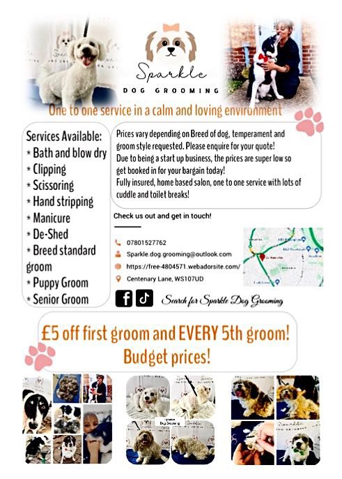 KrisTavrou's tweet photo. New dog grooming business opened in #Wednesbury #Darlaston #Sandwell #WestBrom #WestMidlands Please consider giving her a try, cheap prices as she starts up her own business! https://t.co/bjvlJDJk00
