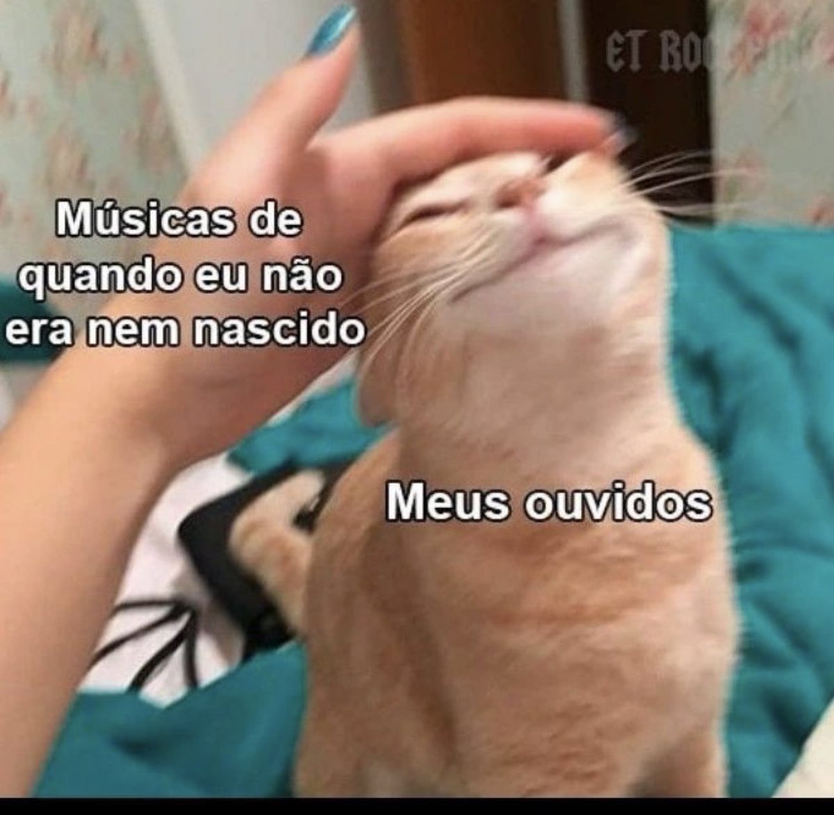shitpostverdade's tweet photo. https://t.co/JKMZKVgohy