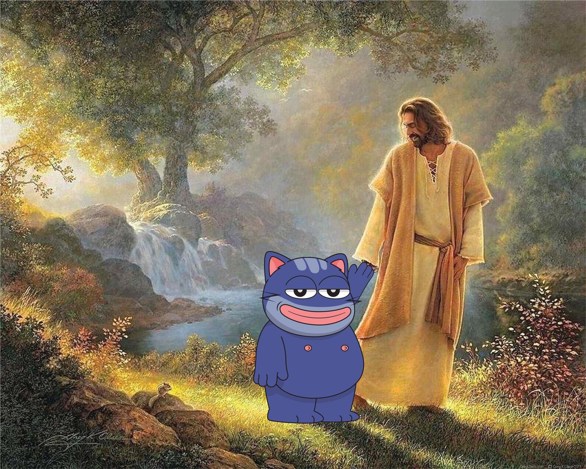 It's me, Zorro (∎, ∆) tweet media