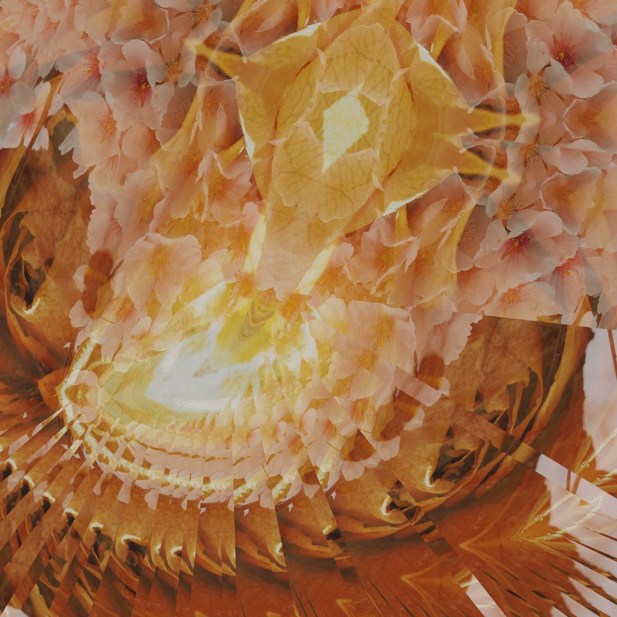 stdio_pike's tweet photo. Kingdom Orange
#orange #fruit #kaleidoscope #cgi #creativecode #blender https://t.co/VxuEAvFOXC