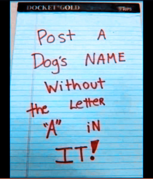 𝚒𝚕𝚕𝚢❗️ 𝚗𝚘𝚝 𝚕𝚒𝚕𝚕𝚢 tweet media