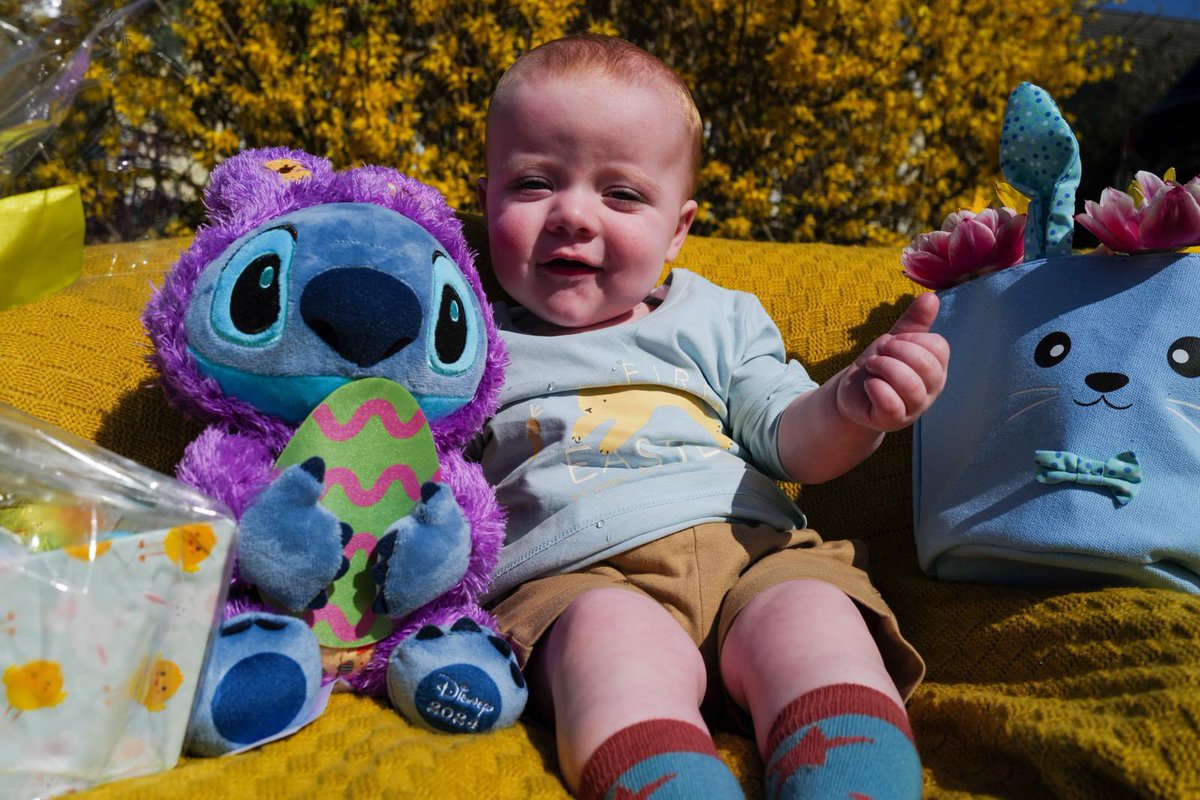 Nicole Fitzsimons tweet media