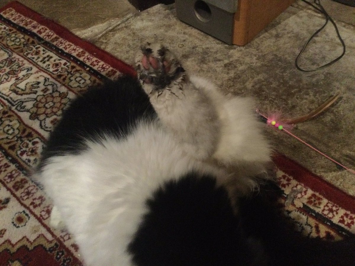 Grubby paws Mr Keith!