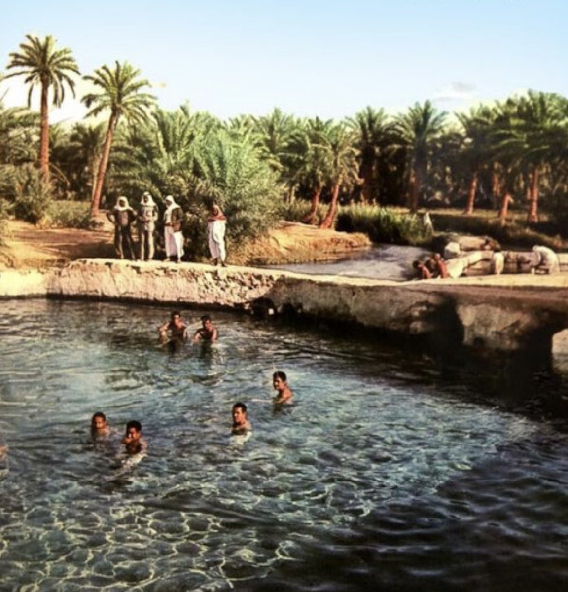 A_Althrman's tweet photo. عرفت الأحساء بكثرة العيون المائية و منها:
أم سبعة
أم زنبور
الحارة 
الجوهرية
الحقل
برابر
الثعالب
البدوية
الحوار
فريحة
الثعالب
نجم
أم جمل
أم خريسان
الحملي
عودة
النقبة
عوينة شافع
الخدود
مرجان 
الزواوي
جليجلة
الحميدي
التعاضيد
أم الليف
الجابرية
النصيرية
قطوة 
غصيبة
شبيب
هل من إضافة? https://t.co/esumwRSnlI