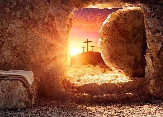 FreireStorm tweet media