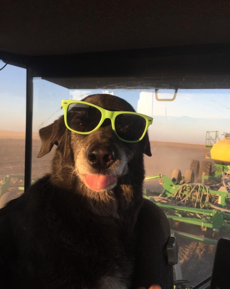 Jeff MacDonald tweet media