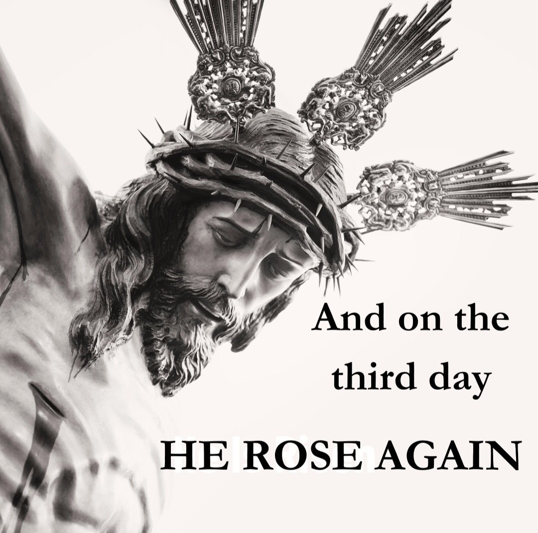 Colorado High School Republicans tweet media