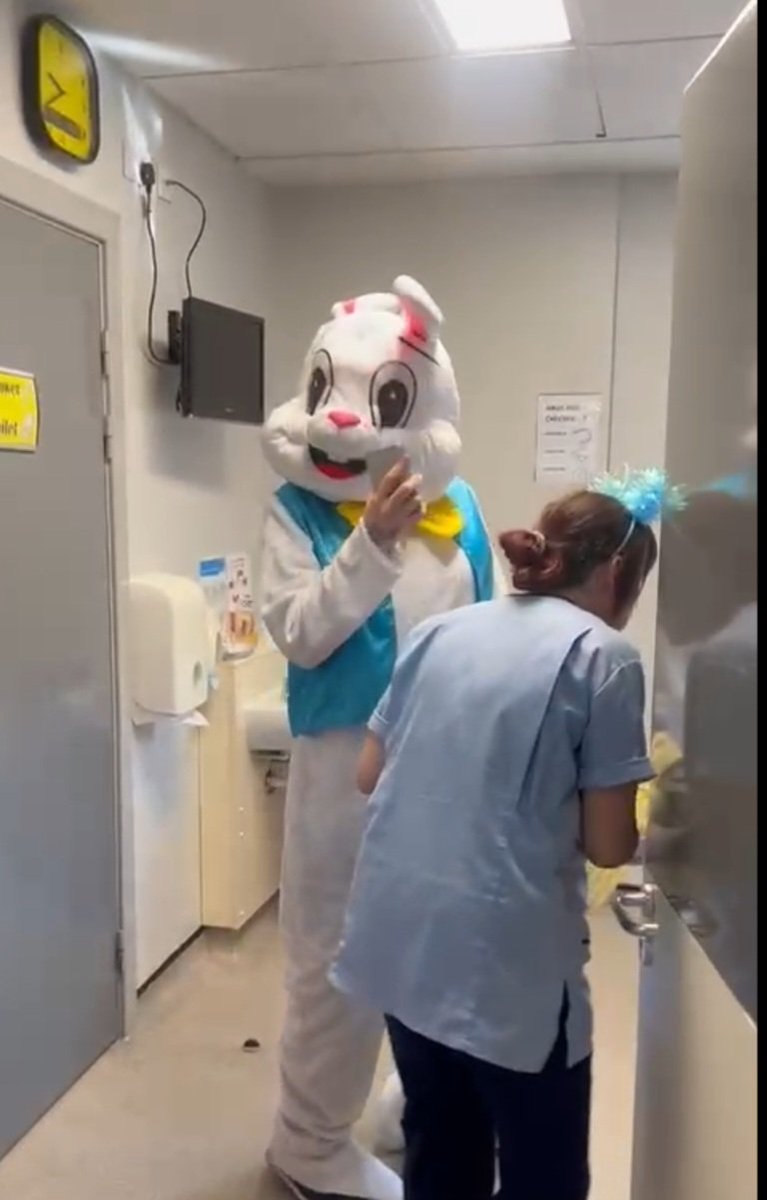 Arlene McNelis tweet media