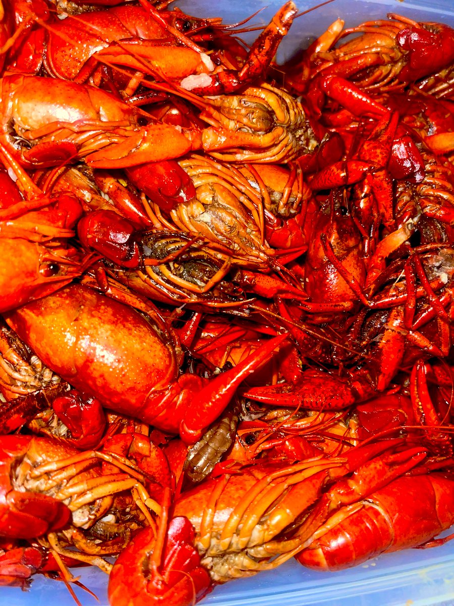 Some🐰bunny brought me a special Easter Gift
🦞Crawfish 🦞
&amp; OHhhhhhh
     How I 
❤️Love❤️
to Suck 🦞 
the Heads‼️
#HappyEaster2024   🐰🐣
#NewOrleansDinnerDate   🍽️
#NewOrleansEscort
#FlyMeToYou   ✈️
#independent