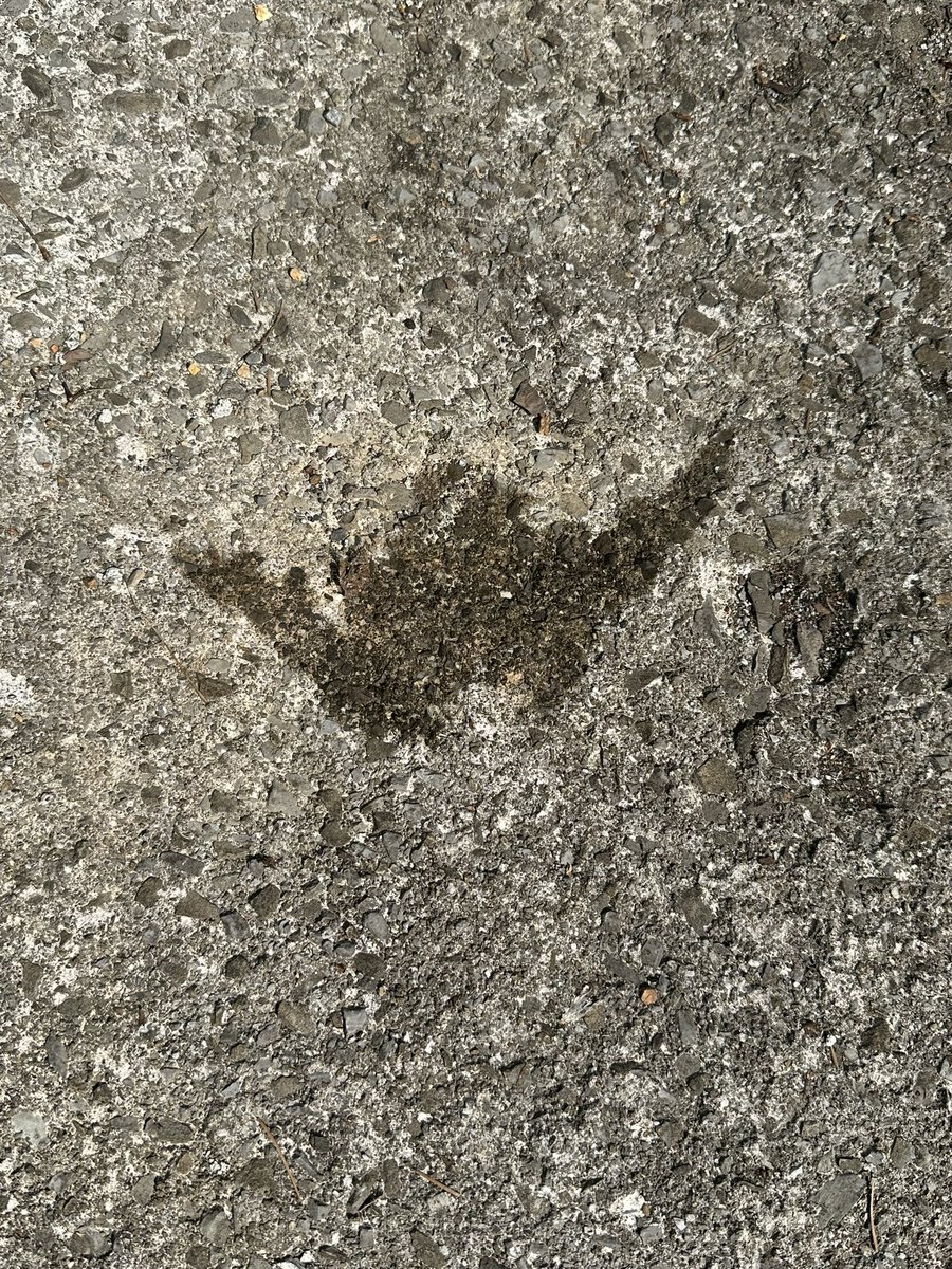 KaylaKitty626's tweet photo. Sat on the back porch for a few minutes to cool off before I went inside and definitely left my mark…definitely a surprising turn in my day but sometimes surprise omo is the best omo https://t.co/qGAUh8wM4T