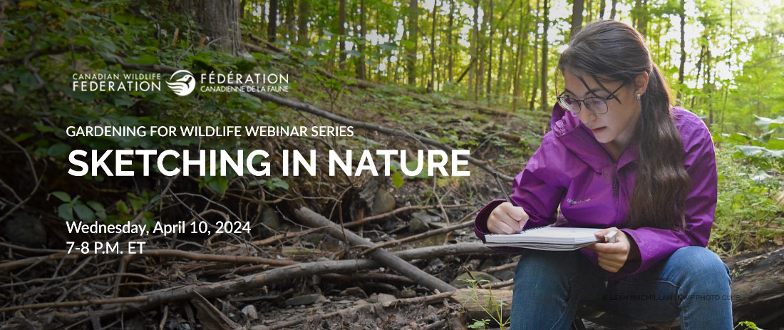 Sketching in Nature Join @CWF_FCF Wed. April 10 at 7pm ET for their webinar “Sketching in Nature”, a creative activity that can enrich your understanding of the natural world. cwf-fcf.org/en/resources/d… #GEOEC #OutdoorEd #Nature #VitaminN #Art #Sketching #Outdoors #Wilderness