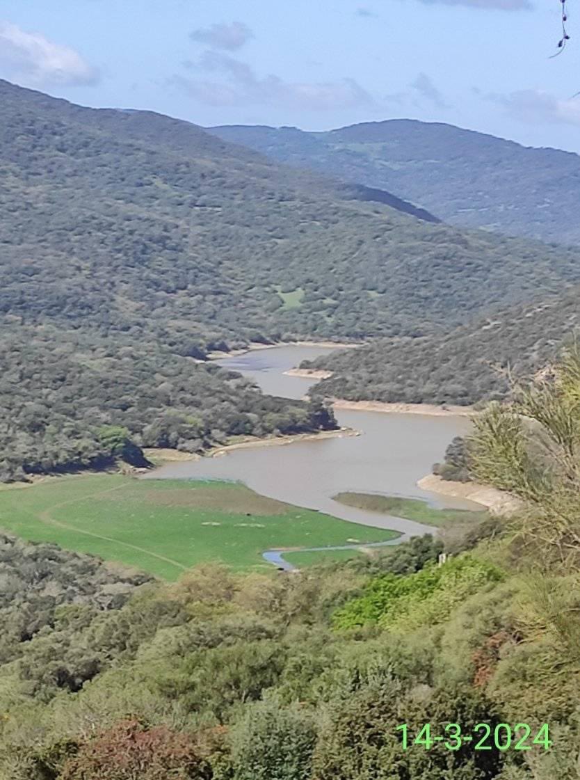 jortega407's tweet photo. Algo bueno habrá que sacar de esta semana. 

#Hurones casi llega al 90% de capacidad. https://t.co/NDH9tV2Pgm