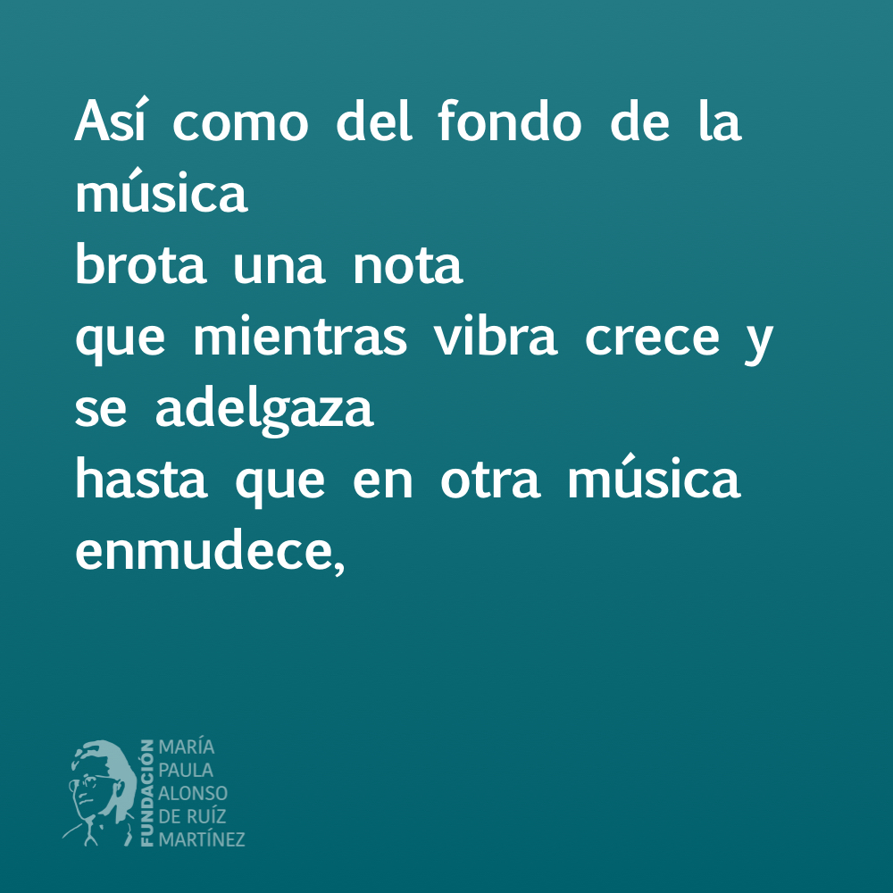 FundacionMpa tweet picture