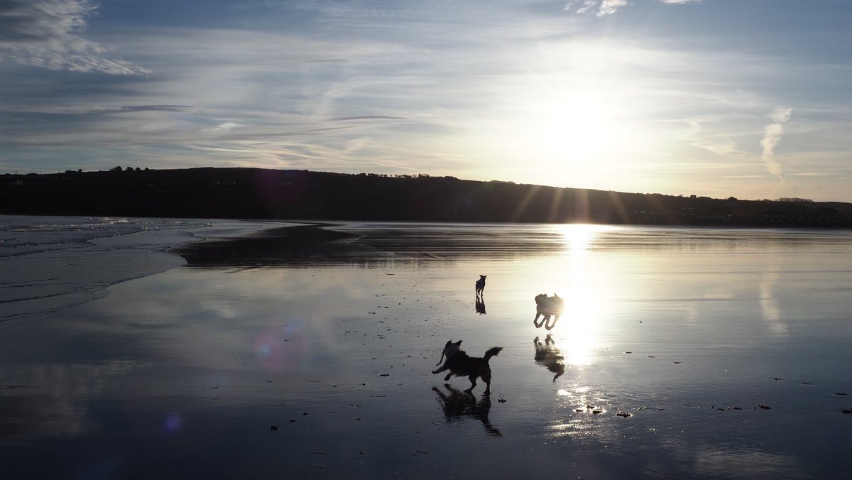 Julian Hector tweet media