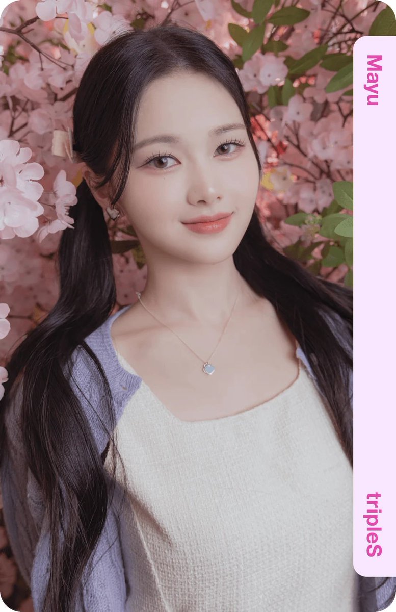 MayuDaily's tweet image. Mayu Cherry Blossom Objekts