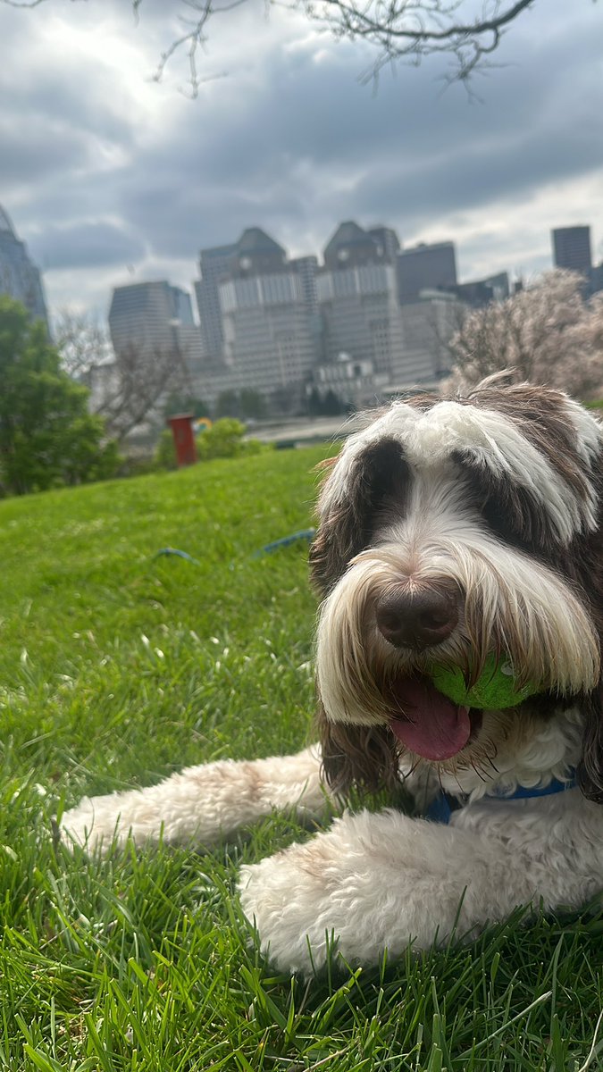 another glorious day! #HappyEaster