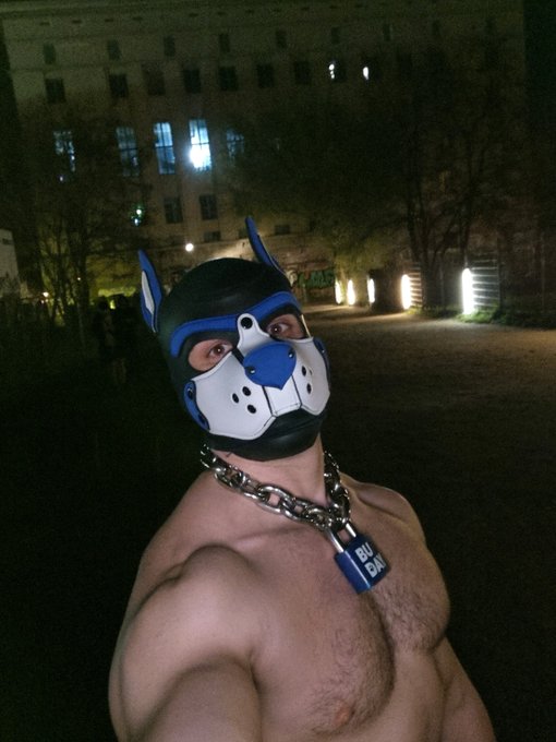 Puppy survived #snaxberlin #Berghain 🫠 https://t.co/g8waZ8sng8<a href="/tag/snaxberlin"class="tags">#snaxberlin</a><a href="/tag/berghain"class="tags">#Berghain</a>