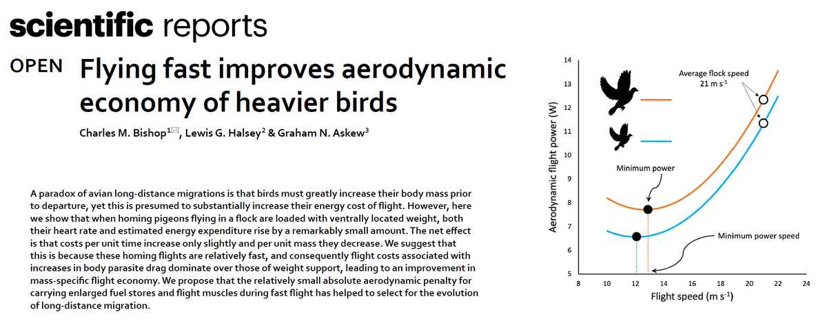 Lewis Halsey (@lewis_halsey) on Twitter photo We measured the energy costs of pigeons to fly, then loaded them with a weight and measured them again. The result: Barely any change in energy expenditure! We argue this is because pigeons fly at high speeds where drag is the major cost. nature.com/articles/s4159…
<a href="/royalsociety/">The Royal Society</a> We measured the energy costs of pigeons to fly, then loaded them with a weight and measured them again. The result: Barely any change in energy expenditure! We argue this is because pigeons fly at high speeds where drag is the major cost. nature.com/articles/s4159…
<a href="/royalsociety/">The Royal Society</a>