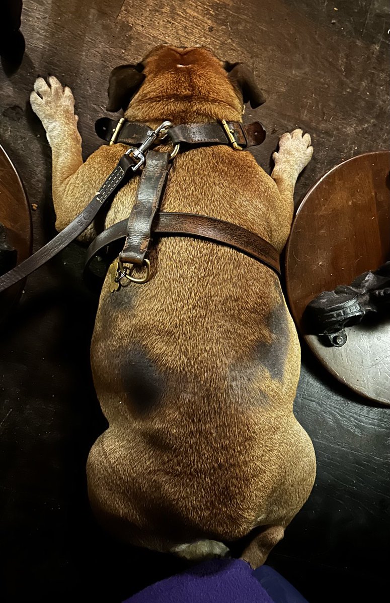 Sunday night snooze in the pub !