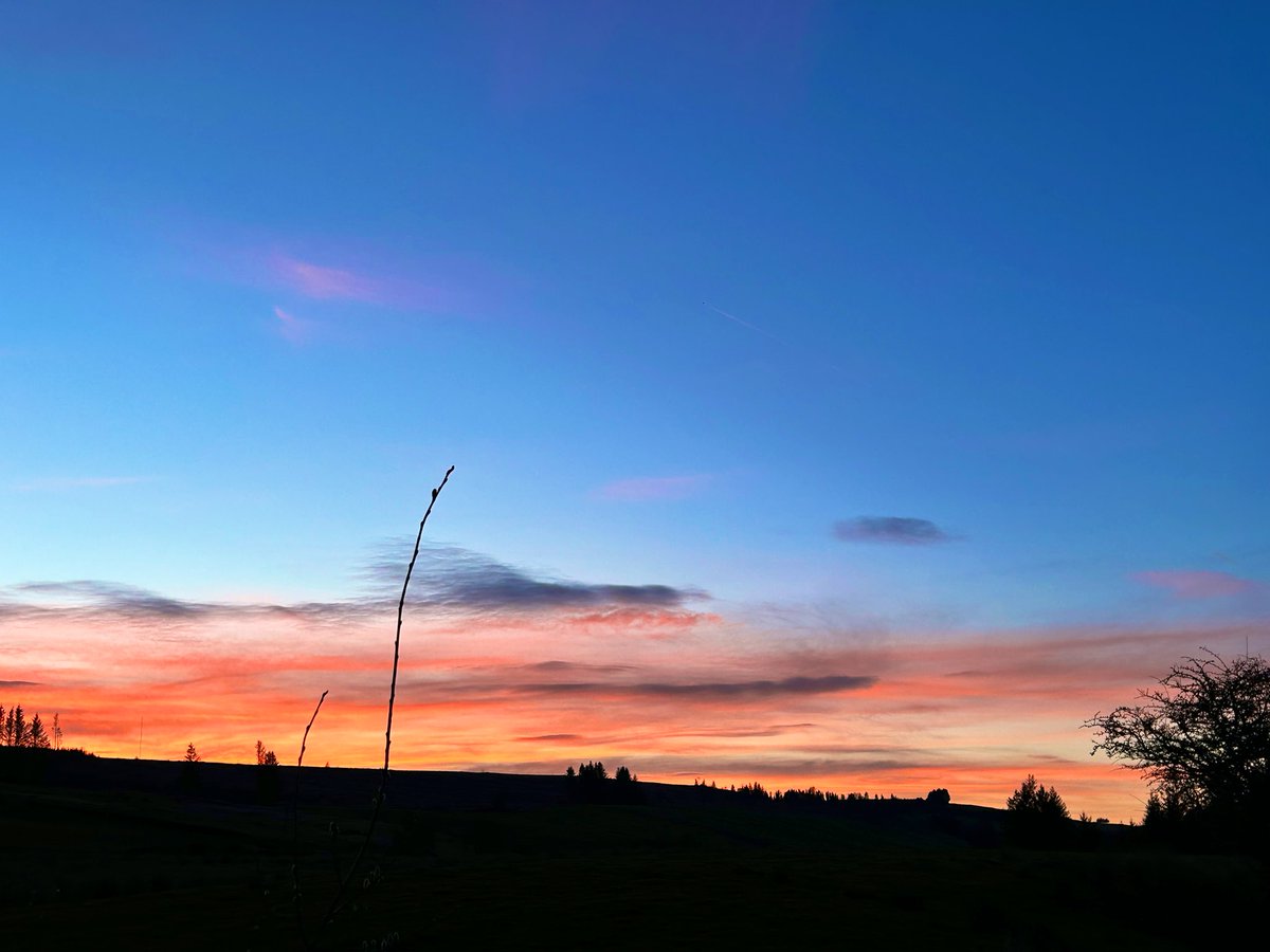 Beautiful sky on my way back from my walk in the forest it was so amazing it was still light at 8.30pm #Scotland #sundayvibes #Spring #sunset #ThePhotoHour #clocksgoforward