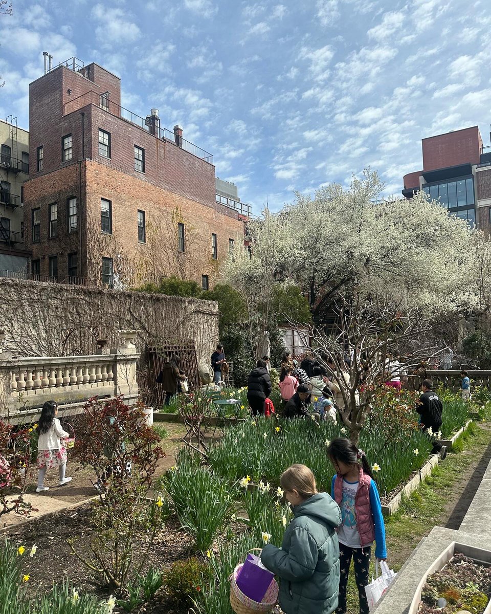 ElizabethStGrdn's tweet photo. Happy Easter from Elizabeth Street Garden!
This year we hid 1300 eggs for all the kids to find and only one egg was left by the end! We hope you had as much fun as we did 🐰✨
#ElizabethStreetGarden #SaveESG #Easter #EggHunt https://t.co/AaUWK0Zlc5