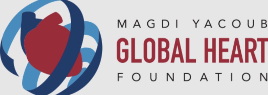 Day 21 of #30Days30Causes: @MYFegy works to dramatically change the health outcomes of the most vulnerable in Egypt, particularly children, by improving comprehensive, advanced cardiac care available to all people in need, free of charge myglobalheart.org