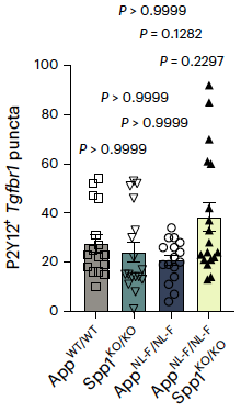 Markus Meister tweet media
