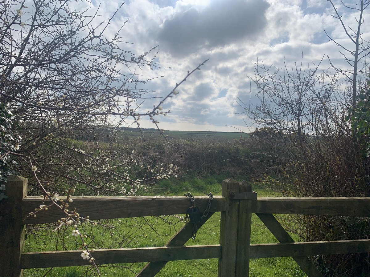 susy_wall's tweet photo. Happy Easter lovely folks.
I’m have a bit of time away with the fam, soaking up some Welsh sea air, getting some steps in and trying to avoid my children’s Easter chocolate.
It’s going to be harder than I thought….
#lindtbunny
#easterchoc
#SusyWall
#seaair
#lovewales https://t.co/6EwjslHAKo