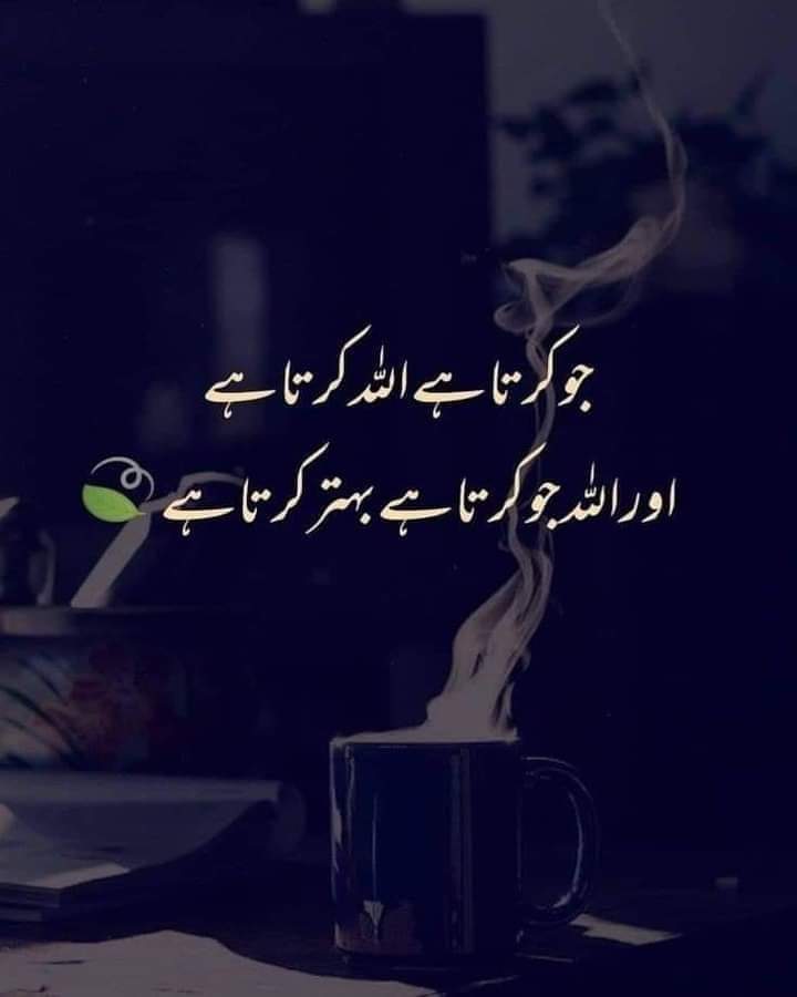 i_areeba_i's tweet photo. ❤️ https://t.co/lo4z6fS5gJ