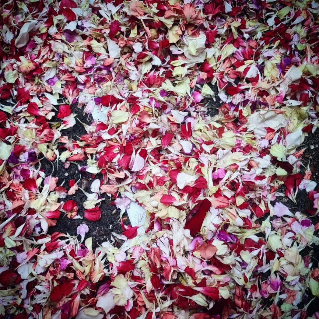 TRASLADO LUNES DE GLORIA

El regreso de nuestros titulares al Santuario de la Paz, tendrá lugar este 01 de abril a las 21h. Se ruega que los costaleros, horquilleros y devotos, participantes acudan minutos antes.
#EcceHomoRonda 
#Ronda
#CofradíasRonda
#CofradíasMLG
📷 <a href="/VideoRonda/">VideoRonda</a>